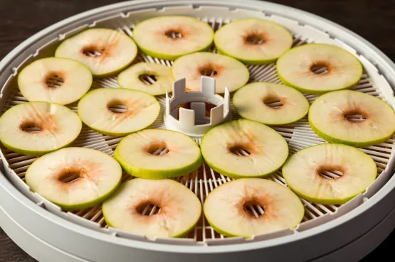 Vision-based fruit grading plant for apples and kinnows